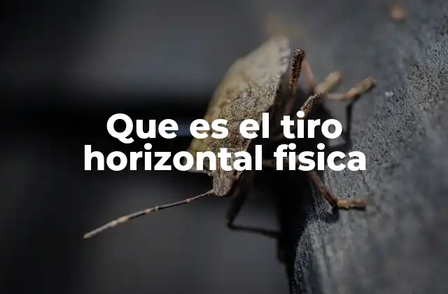 Que es el Tiro Horizontal Fisica