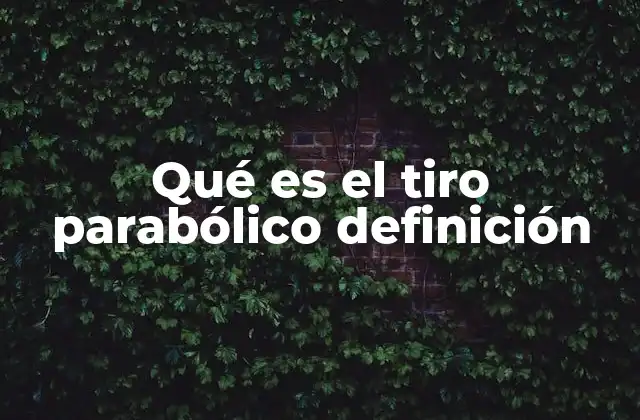 Qué es el Tiro Parabólico Definición