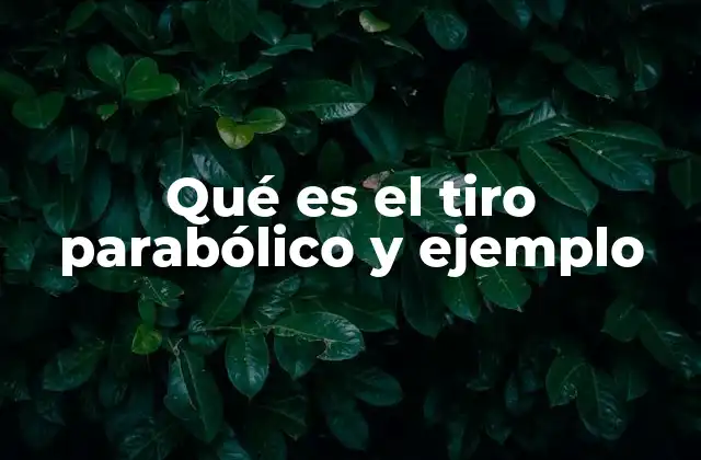 Qué es el Tiro Parabólico y Ejemplo