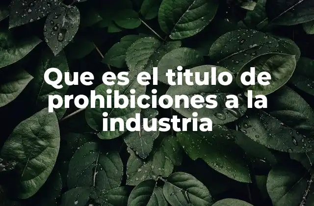 Que es el Titulo de Prohibiciones a la Industria