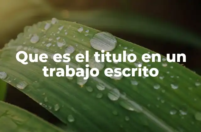 Que es el Titulo en un Trabajo Escrito