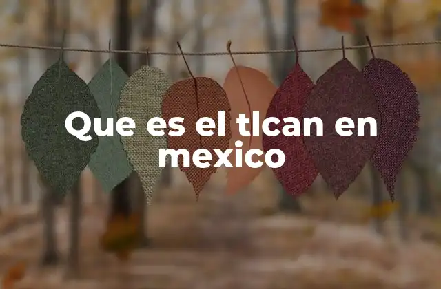 El TLCAN y su impacto en la integración económica de América del Norte