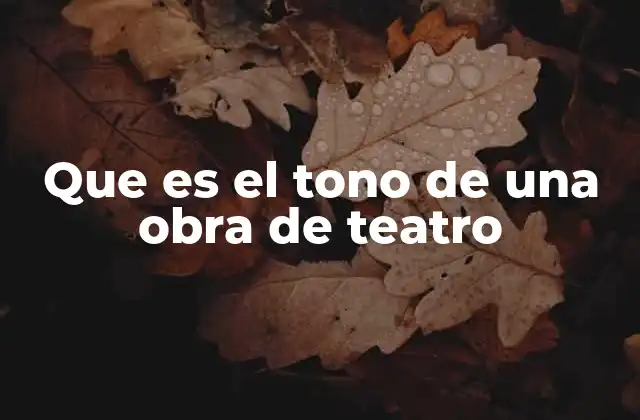 Que es el Tono de una Obra de Teatro