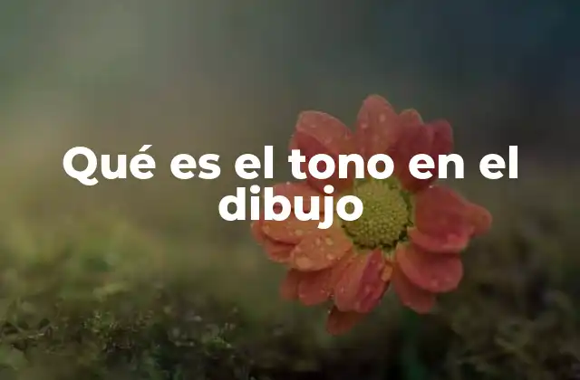 Qué es el Tono en el Dibujo