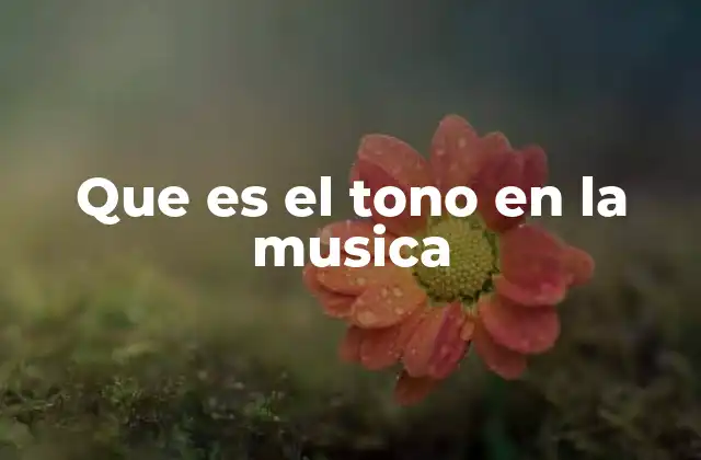 Que es el Tono en la Musica