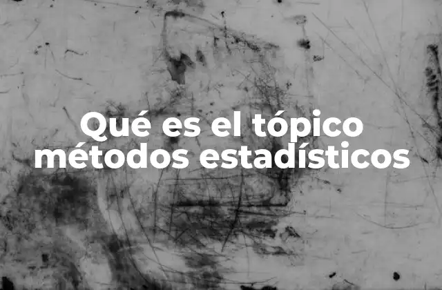 Qué es el Tópico Métodos Estadísticos