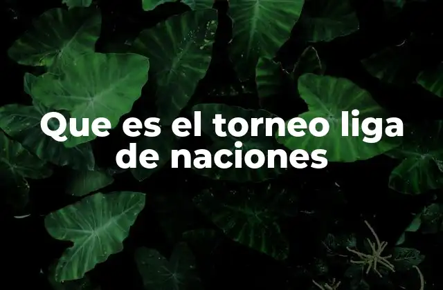 Que es el Torneo Liga de Naciones