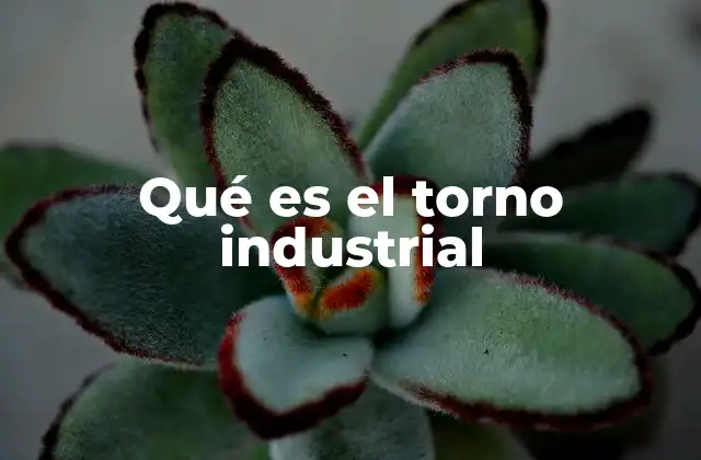 Qué es el Torno Industrial