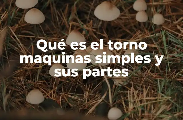 Qué es el Torno Maquinas Simples y Sus Partes