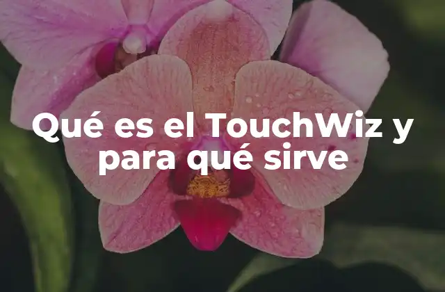 Qué es el Touchwiz y para Qué Sirve