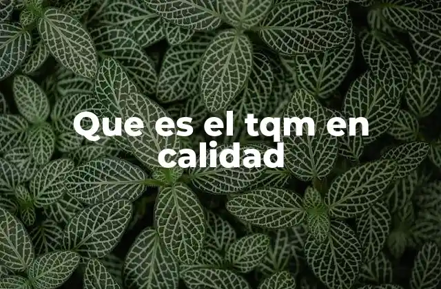 Que es el Tqm en Calidad