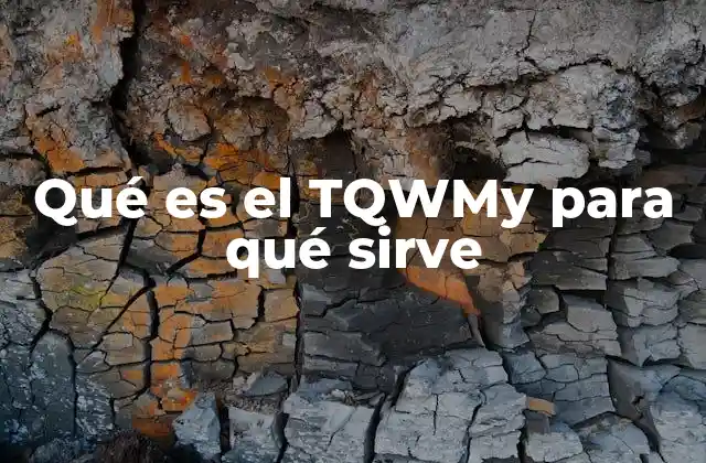 Qué es el Tqwmy para Qué Sirve