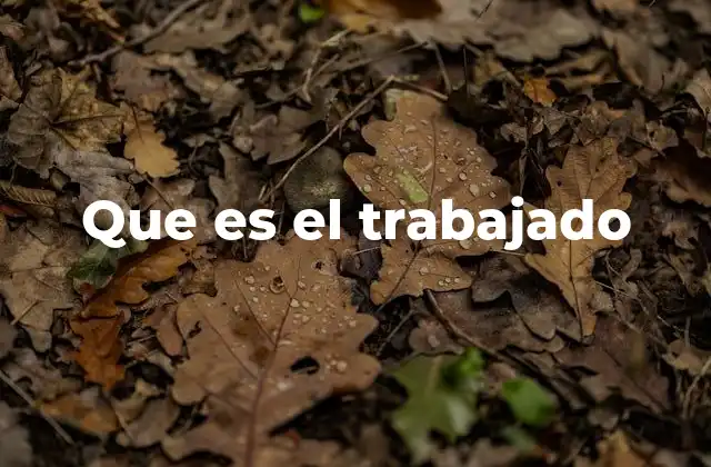 El valor de lo trabajado en distintas disciplinas