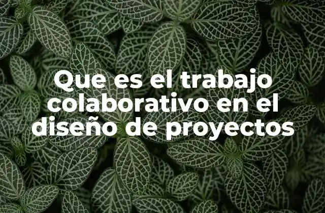 Que es el Trabajo Colaborativo en el Diseño de Proyectos