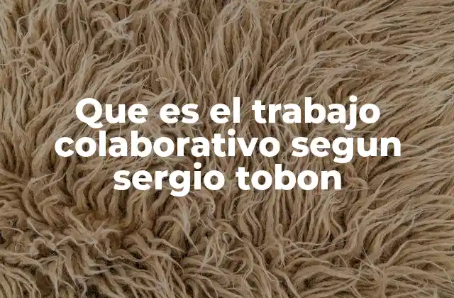 Que es el Trabajo Colaborativo Segun Sergio Tobon