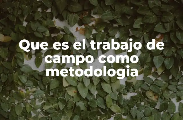 Que es el Trabajo de Campo como Metodologia