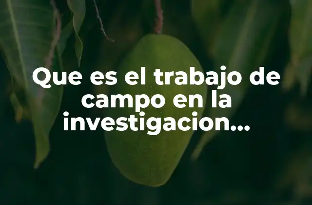 Que es el Trabajo de Campo en la Investigacion Cualitativa