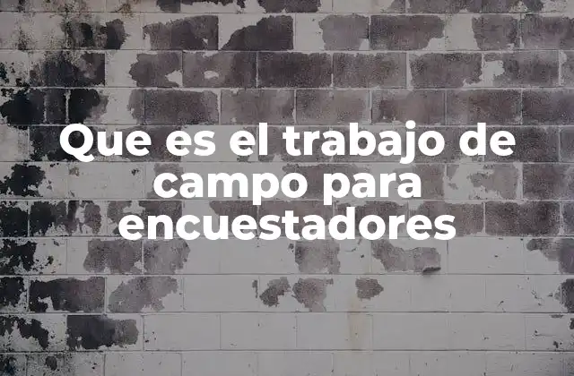 Que es el Trabajo de Campo para Encuestadores