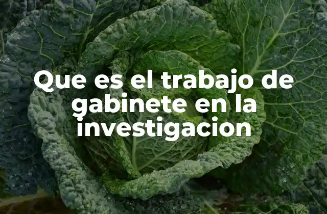 Que es el Trabajo de Gabinete en la Investigacion