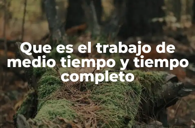 Que es el Trabajo de Medio Tiempo y Tiempo Completo