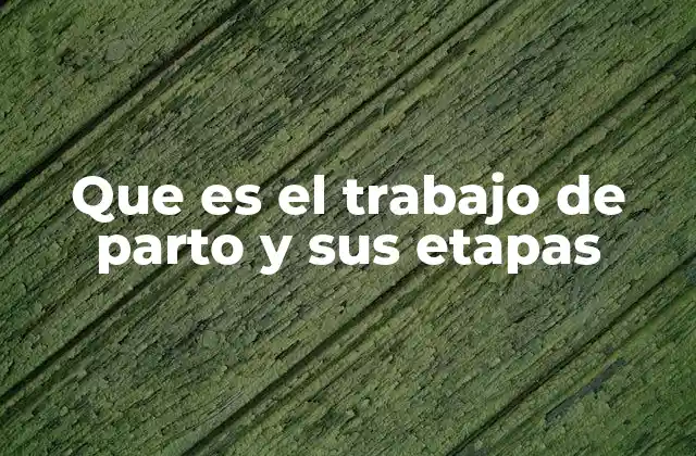 Que es el Trabajo de Parto y Sus Etapas