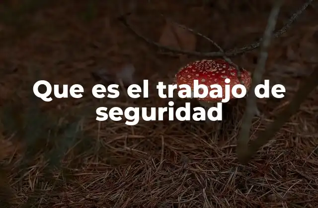 Que es el Trabajo de Seguridad