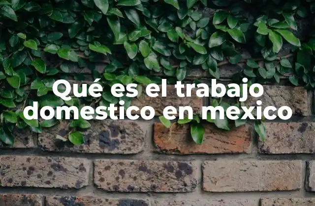 Qué es el Trabajo Domestico en Mexico