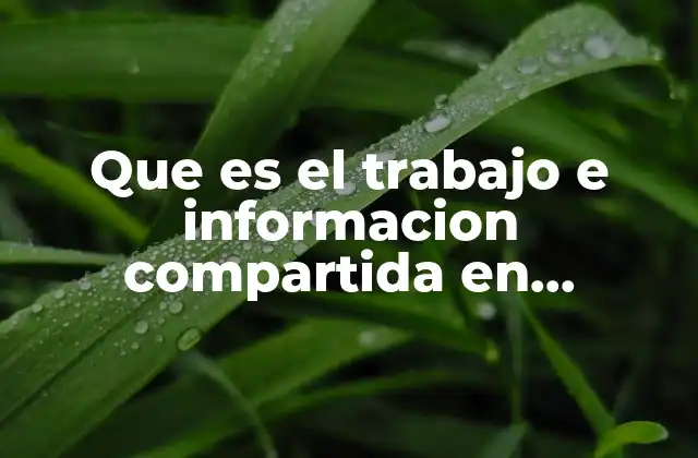 Que es el Trabajo e Informacion Compartida en Contabilidad