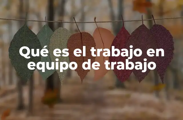 La importancia de la colaboración en el desarrollo de proyectos