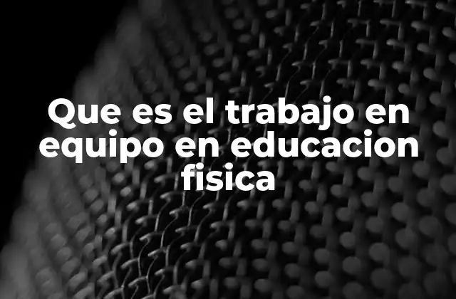 Que es el Trabajo en Equipo en Educacion Fisica