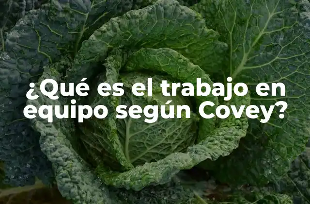 ¿qué es el Trabajo en Equipo según Covey?