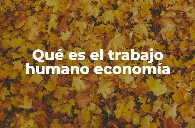 Qué es el Trabajo Humano Economía