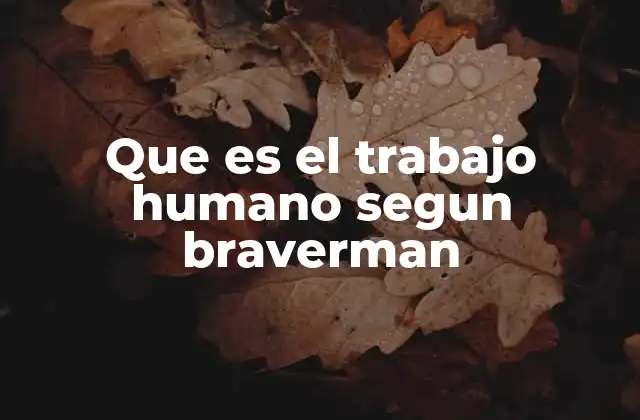 Que es el Trabajo Humano Segun Braverman 2 La visión de Braverman sobre la relación entre trabajo y capital