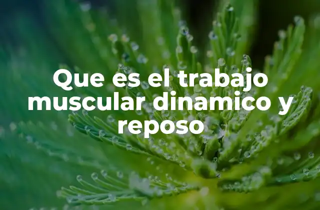 Que es el Trabajo Muscular Dinamico y Reposo