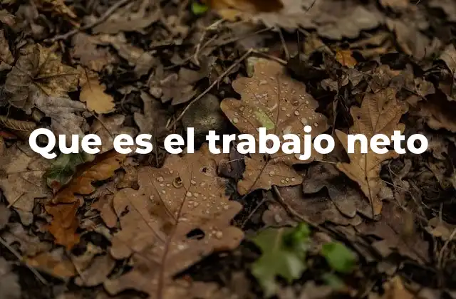 Que es el Trabajo Neto