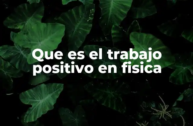 Que es el Trabajo Positivo en Fisica