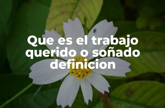 Que es el Trabajo Querido o Soñado Definicion