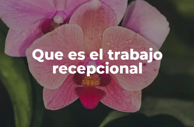 Que es el Trabajo Recepcional