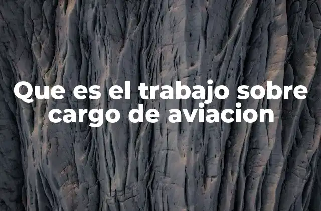 Que es el Trabajo sobre Cargo de Aviacion 2 El rol esencial de los operadores de carga aérea en la aviación