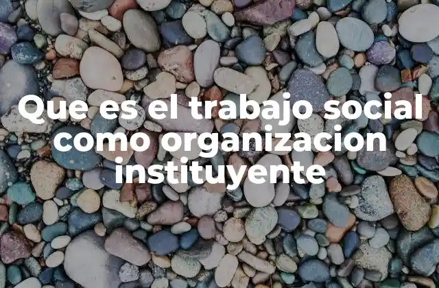 Que es el Trabajo Social como Organizacion Instituyente