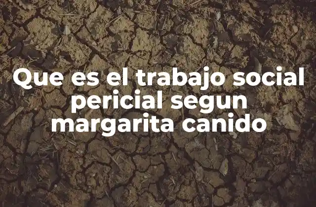 Que es el Trabajo Social Pericial Segun Margarita Canido