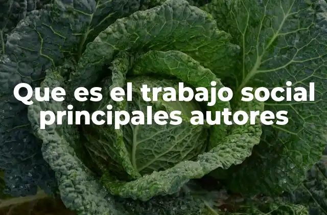 Que es el Trabajo Social Principales Autores