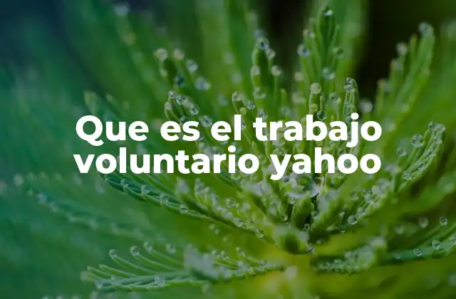 Que es el Trabajo Voluntario Yahoo