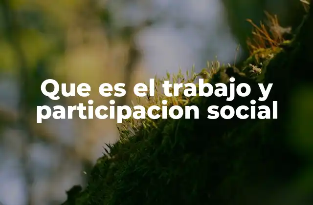 Que es el Trabajo y Participacion Social