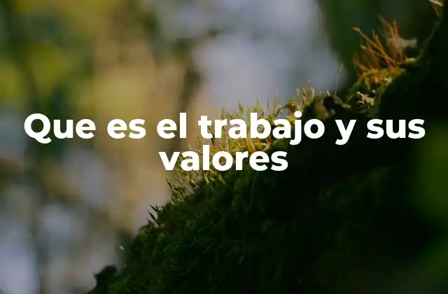 Que es el Trabajo y Sus Valores