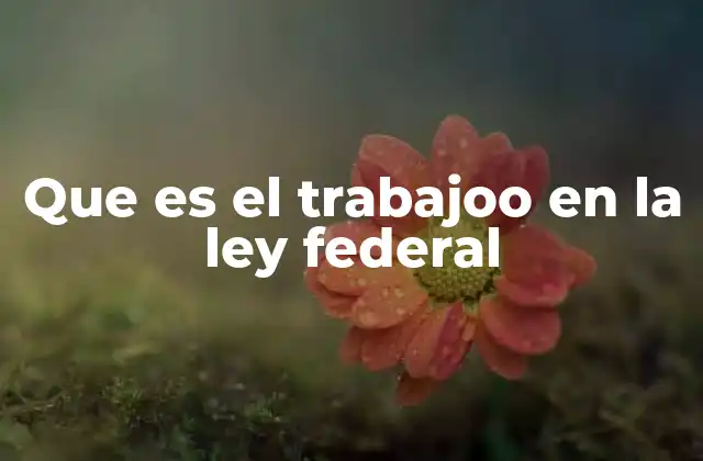 Que es el Trabajoo en la Ley Federal