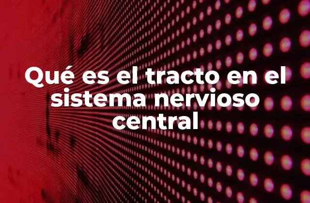 Qué es el Tracto en el Sistema Nervioso Central