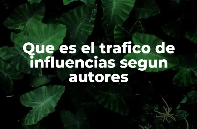 Que es el Trafico de Influencias Segun Autores