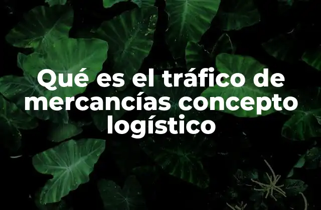 Qué es el Tráfico de Mercancías Concepto Logístico