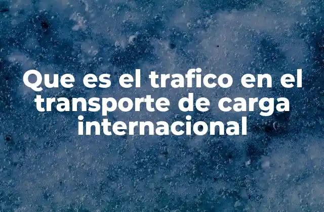 Que es el Trafico en el Transporte de Carga Internacional
